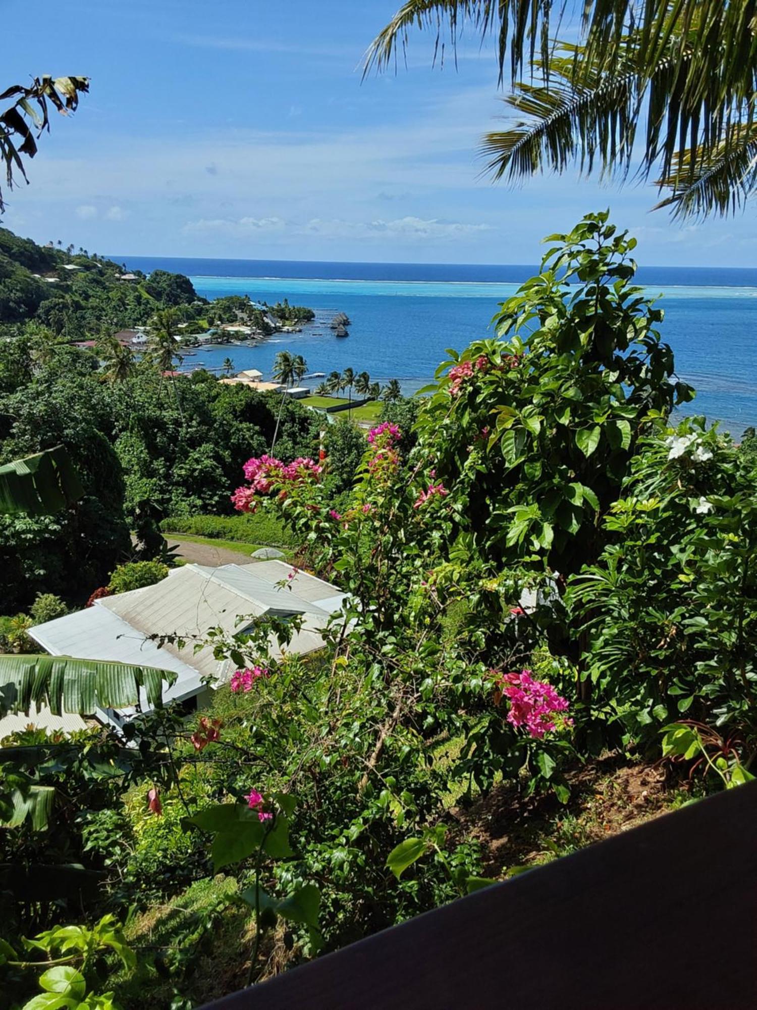 Fare Mahi Mahi Bed & Breakfast Uturoa Luaran gambar